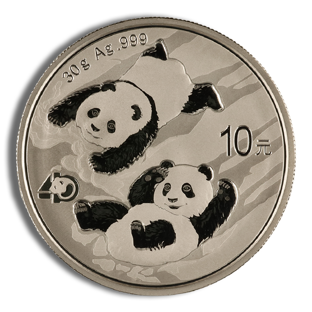 2022 Chinese Silver Panda - 30 g