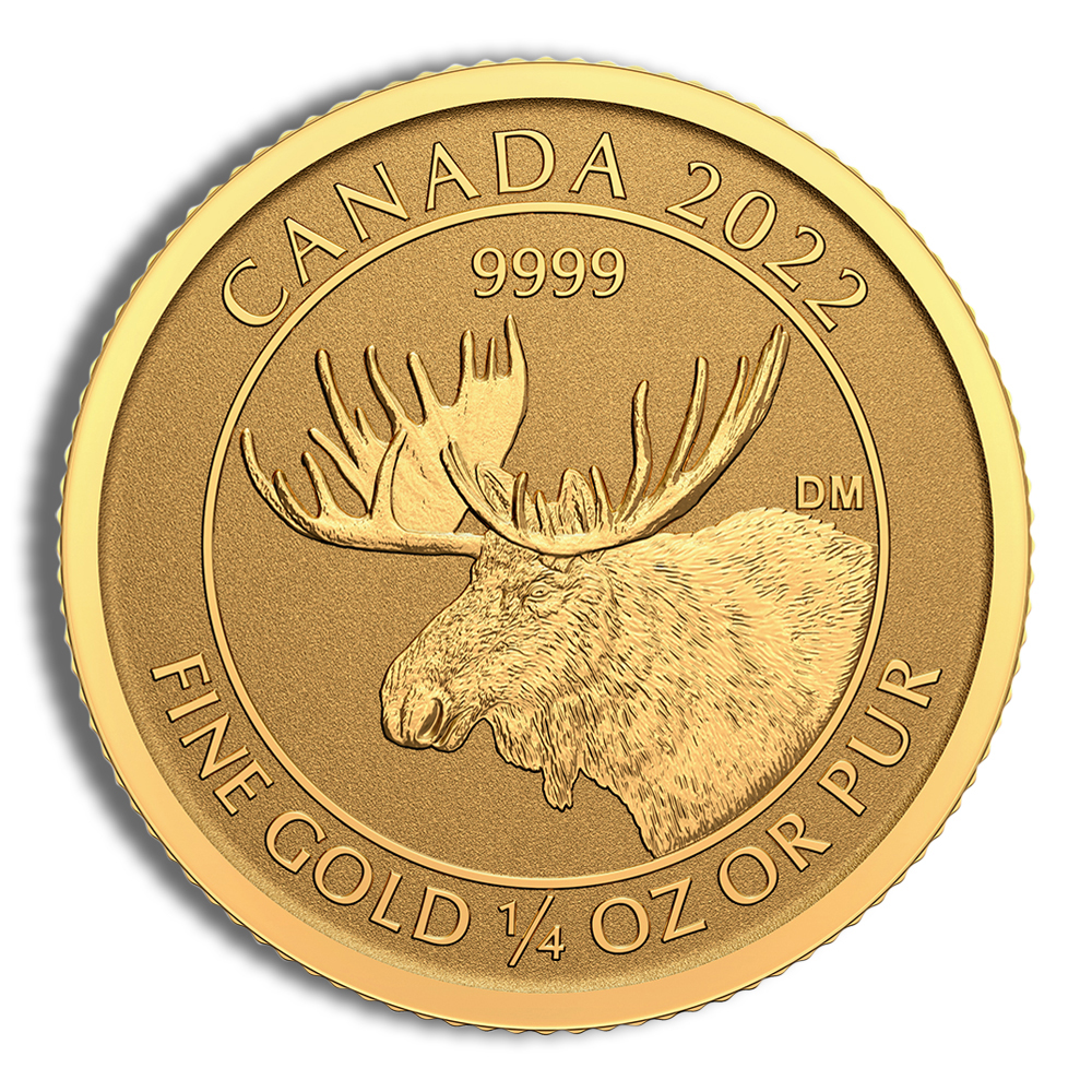 2022 1/4 oz Canadian Moose Gold Coin