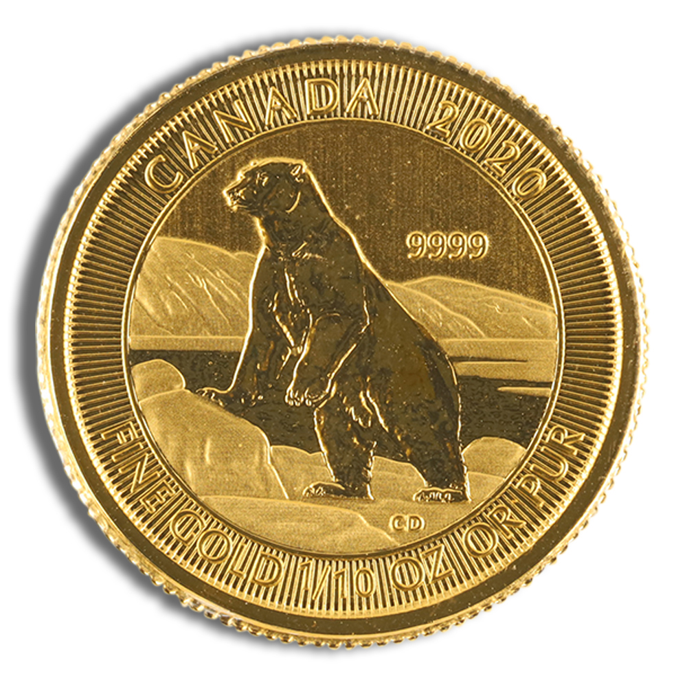 1/10 oz Canadian Polar Bear Gold Coin (Year Varies)