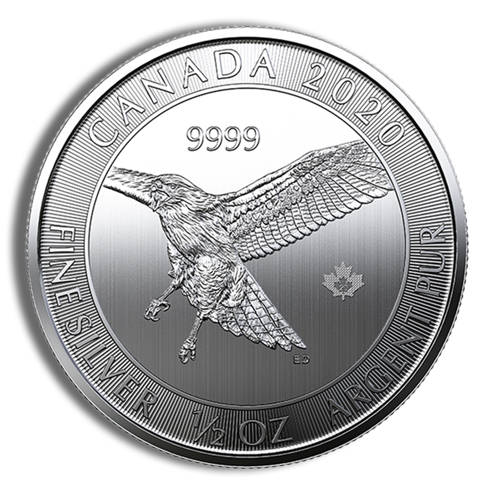 1/2 oz Canadian Red Tail Hawk Silver Coin (Year Varies)