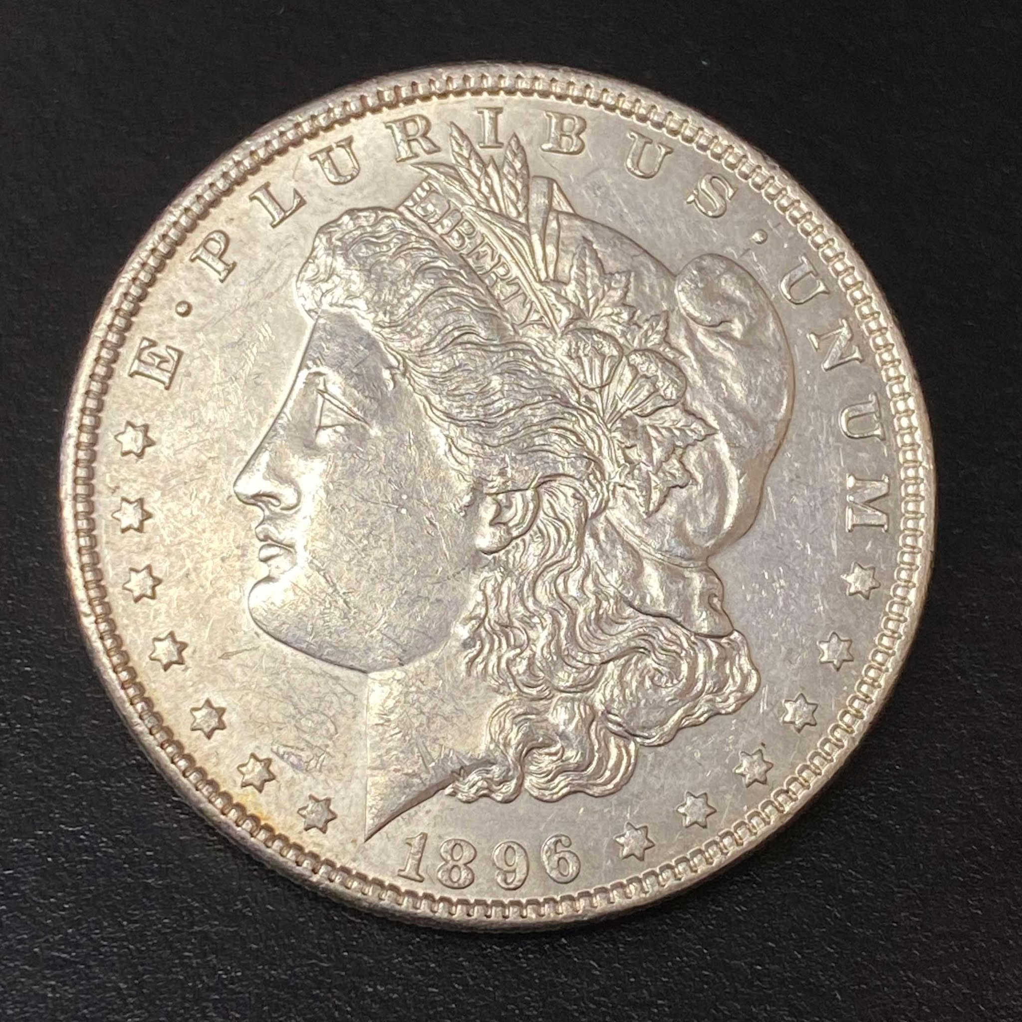 1896 Morgan Dollar