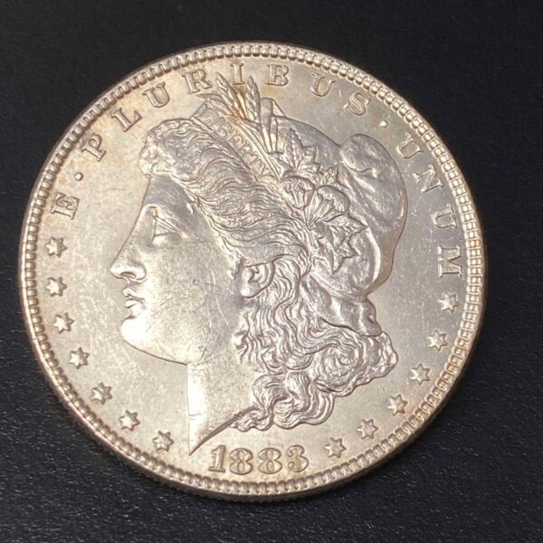 1883 Morgan Dollar