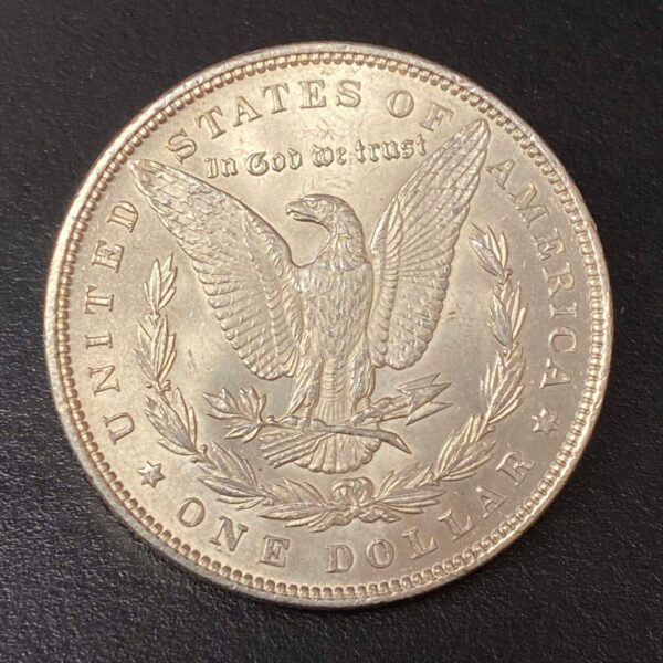 1891 Morgan Dollar