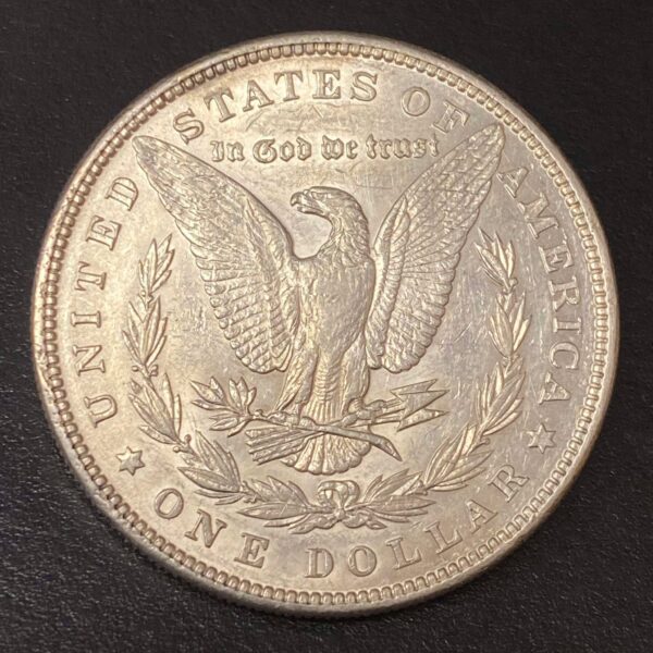 1884 Morgan Dollar