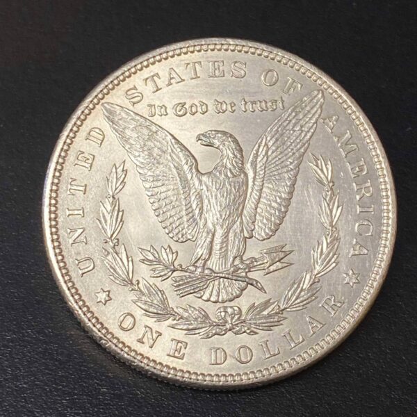 1886 Morgan Dollar