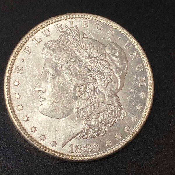 1883 Morgan Dollar