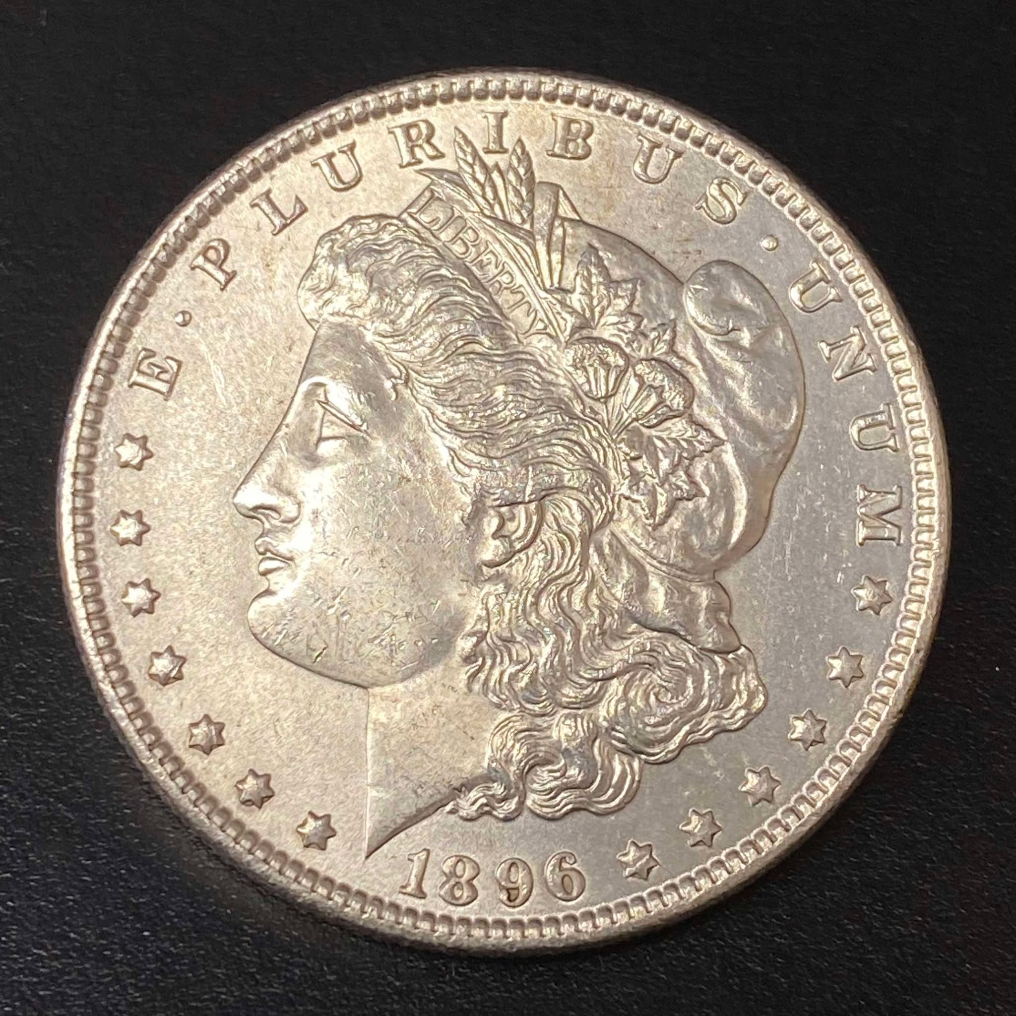 1896 Morgan Dollar