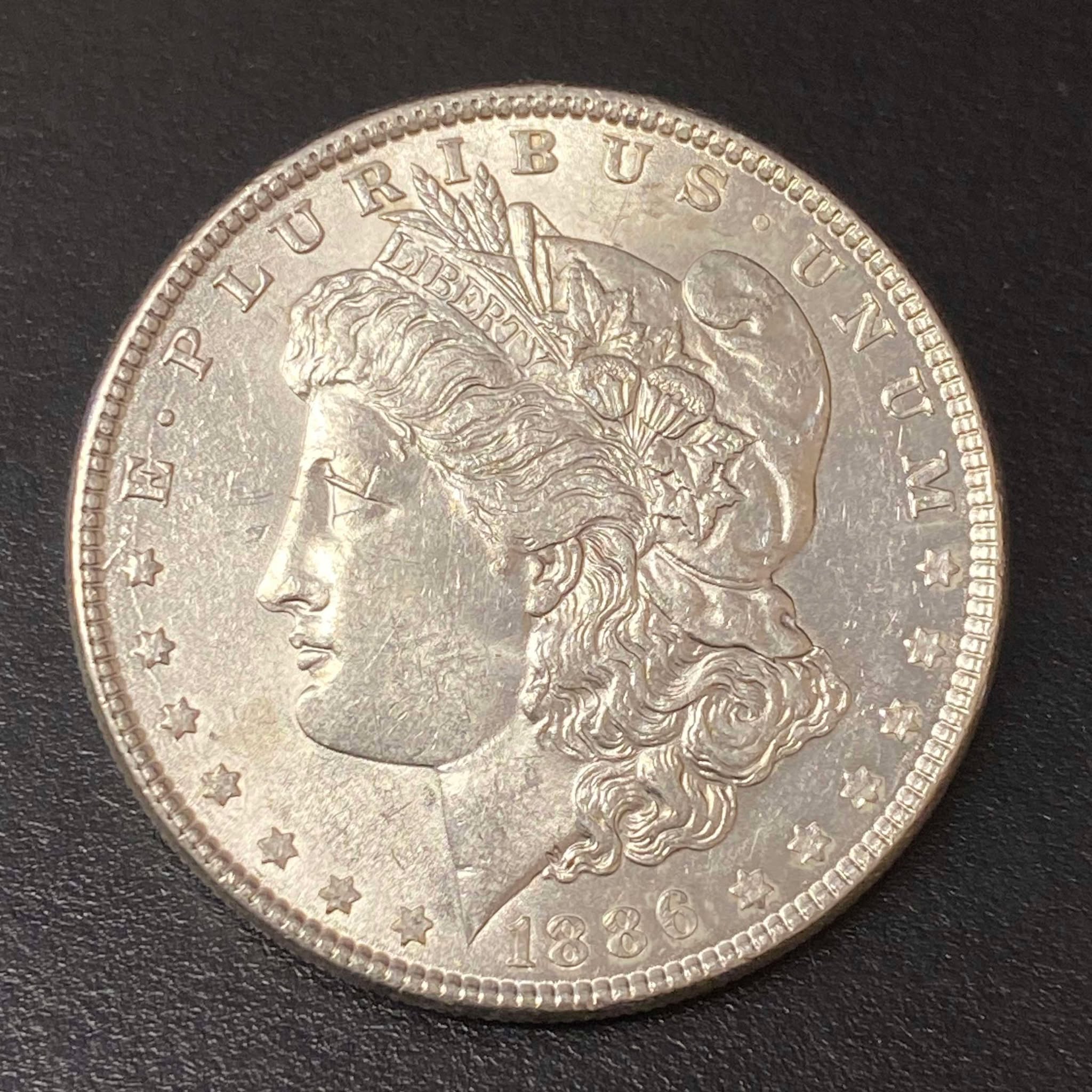 1886 Morgan Dollar