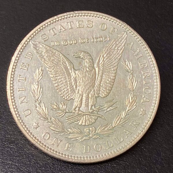 1896 Morgan Dollar