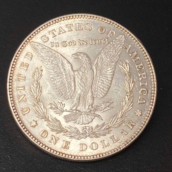 1878 Morgan Dollar 7 Tail Feathers (7TF) Reverse of 1879