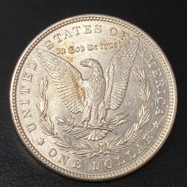 1889 Morgan Dollar