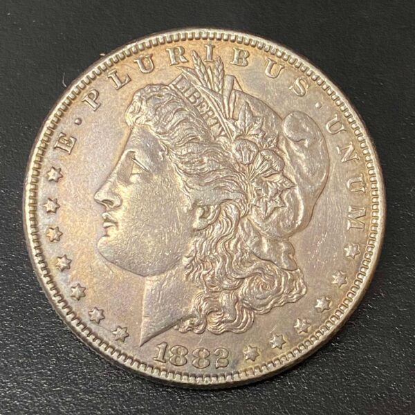 1882 Morgan Dollar