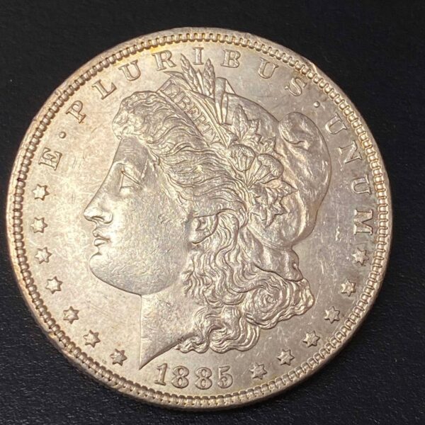 1885 Morgan Dollar