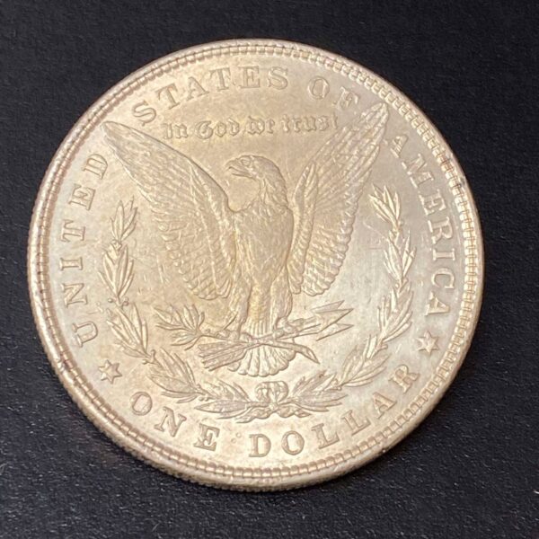 1878 Morgan Dollar 7 Tail Feathers (7TF) Reverse of 1879