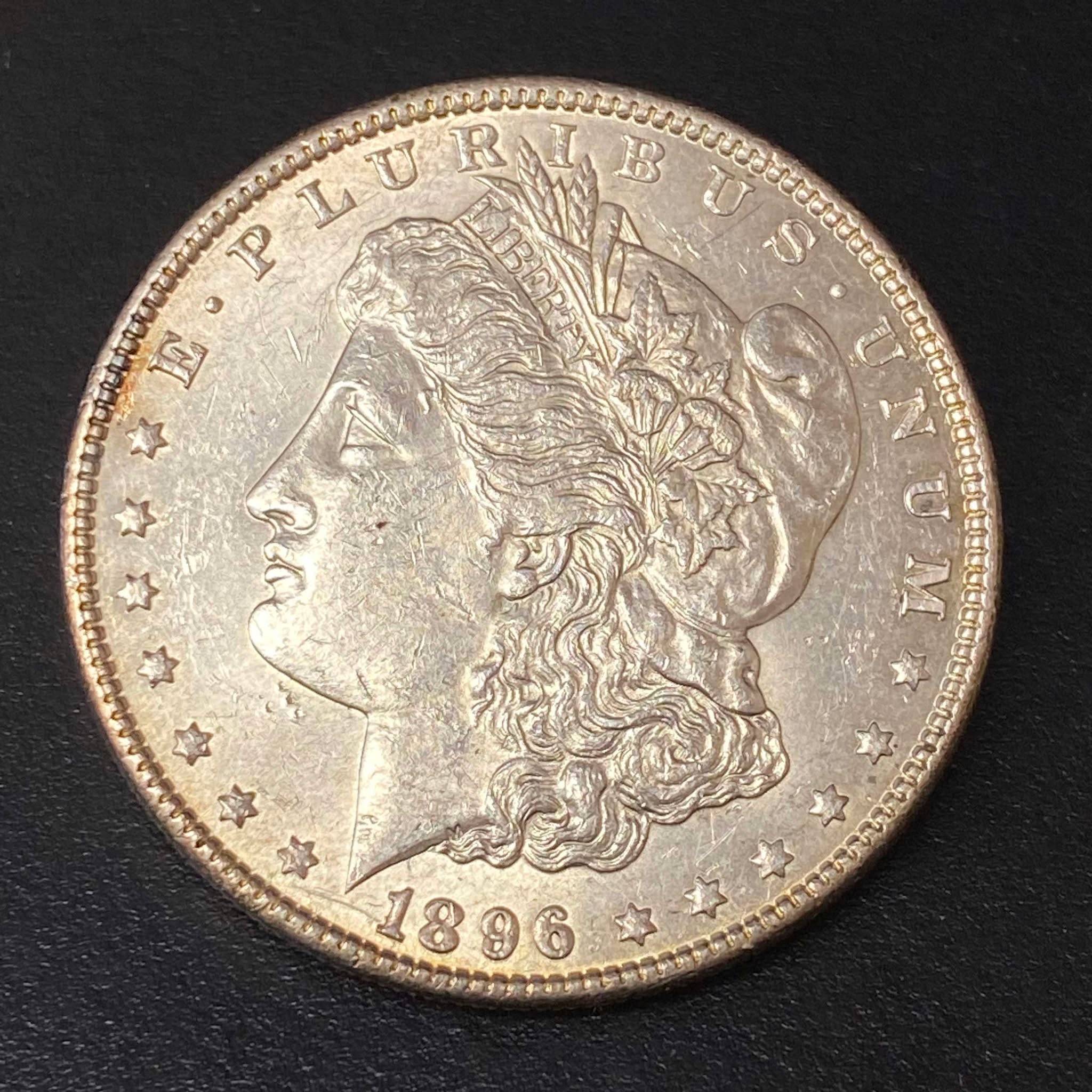 1896 Morgan Dollar