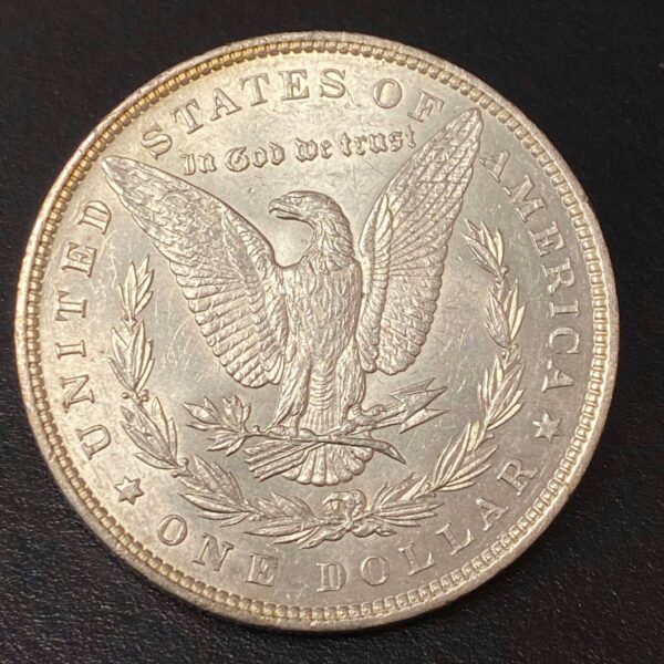 1896 Morgan Dollar