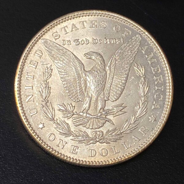 1889 Morgan Dollar