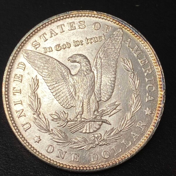 1896 Morgan Dollar