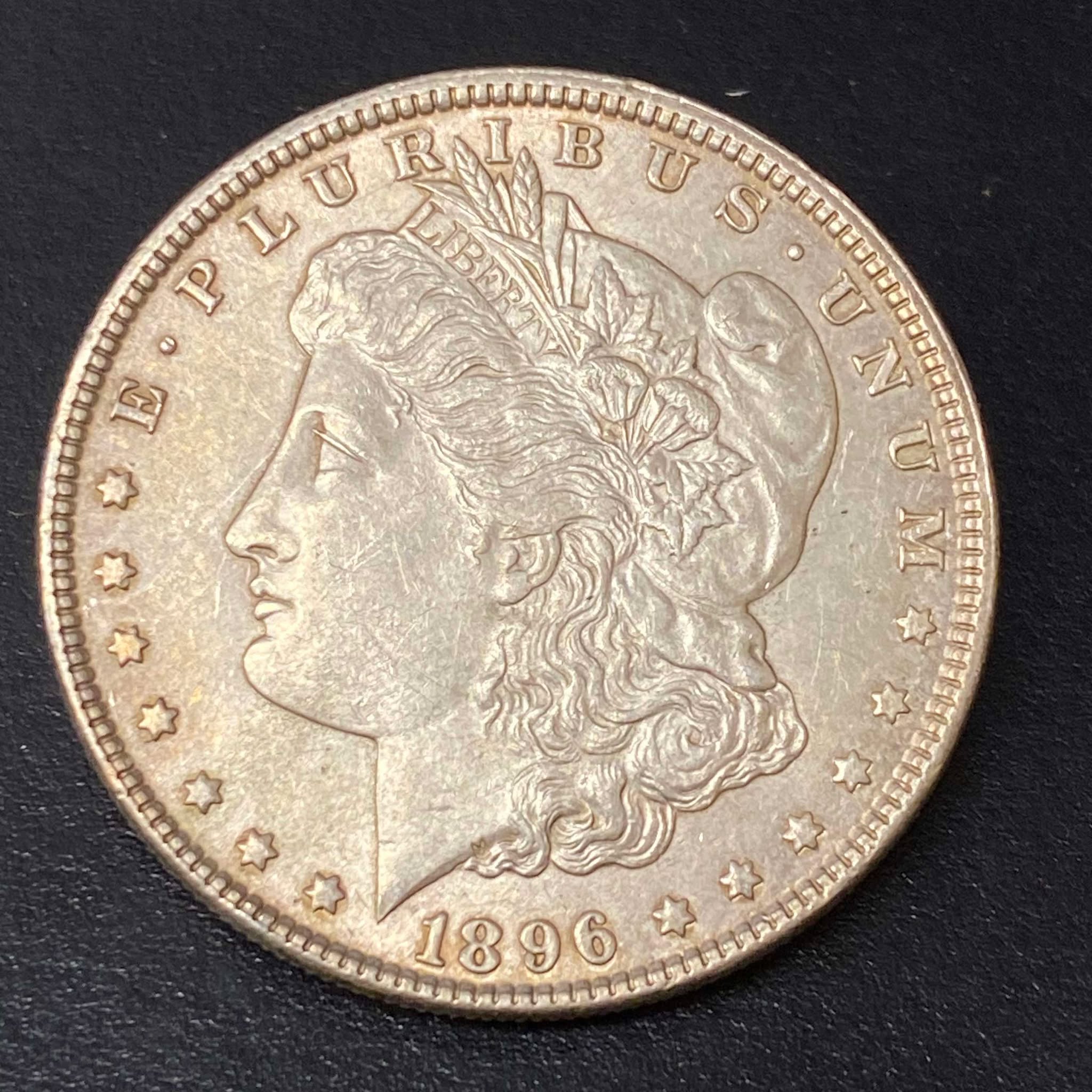 1896 Morgan Dollar