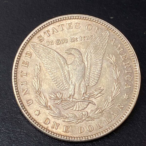 1896 Morgan Dollar