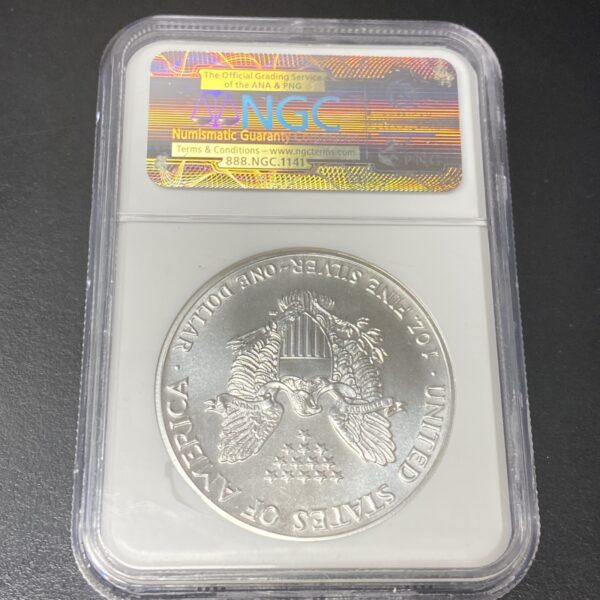 1989 $1 American Silver Eagle Dollar 1oz .999 Silver NGC MS69 Brown Label