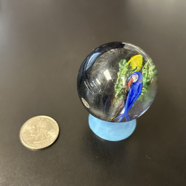 Jumbo Marble 5.5 Inch Circumference (Rare, Beautiful Design)