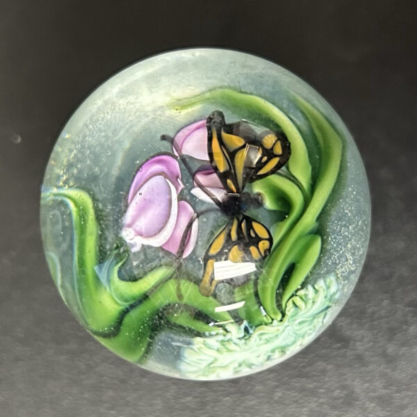 Jumbo Marble 5.5 Inch Circumference (Rare, Beautiful Butterfly Design)