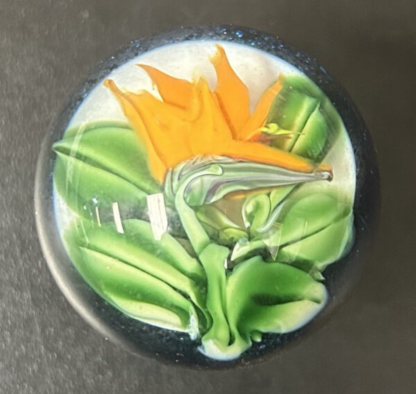 Jumbo Marble 5.5 Inch Circumference (Rare, Beautiful Flower Design)