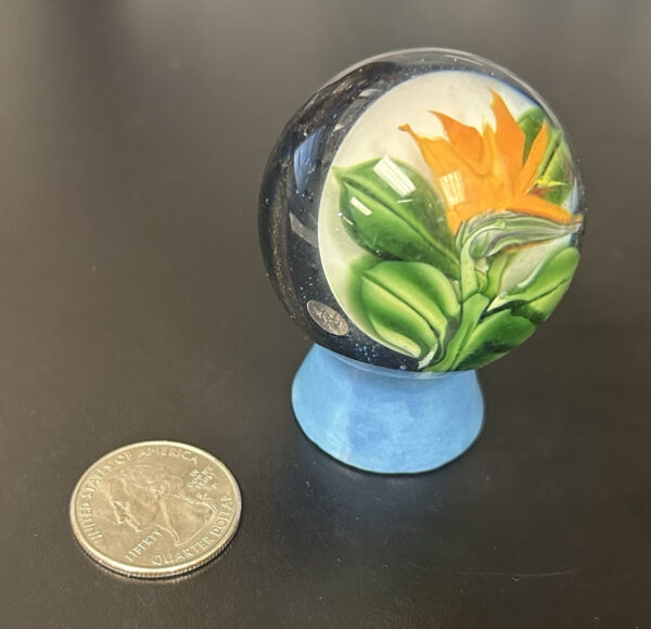 Jumbo Marble 5.5 Inch Circumference (Rare, Beautiful Flower Design)