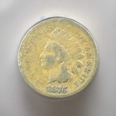 1875 Indian Head Small Cent - Good Detail